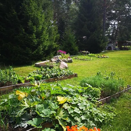 Вилла Metsaraeaegu Wellness