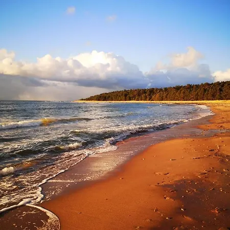 Metsaraeaegu Wellness * Ulendi