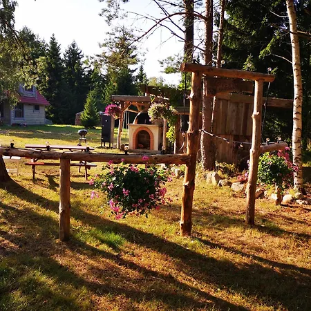 Metsaraeaegu Wellness