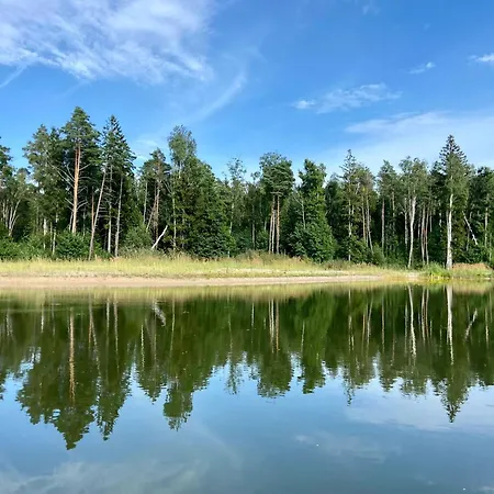 Metsaraeaegu Wellness Ulendi