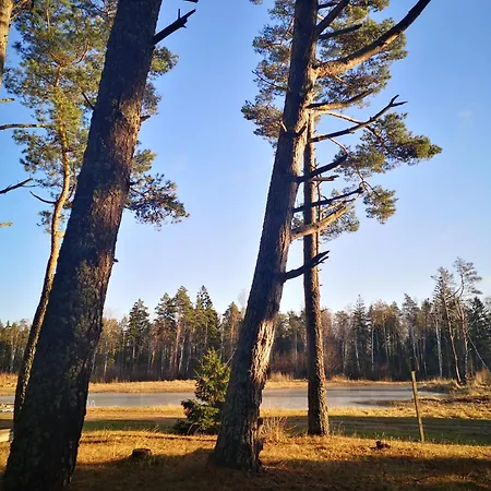 Metsaraeaegu Wellness Вилла Ulendi