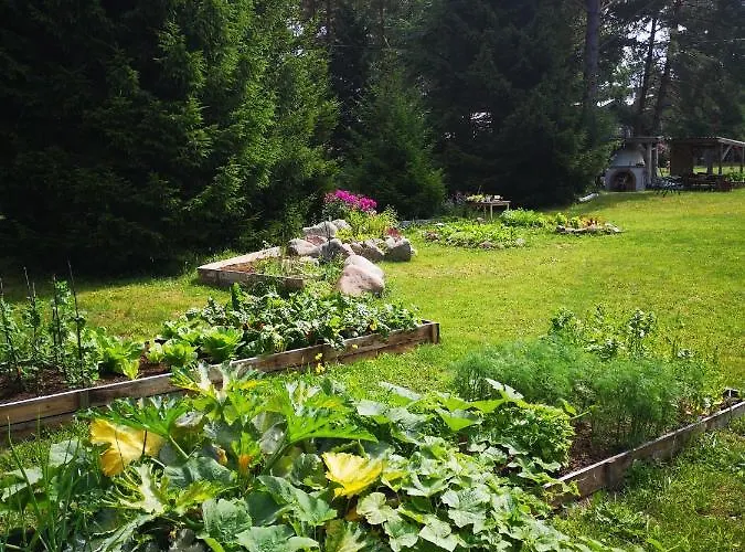 Villa Metsaraeaegu Wellness