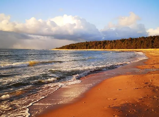 Metsaraeaegu Wellness * Ulendi