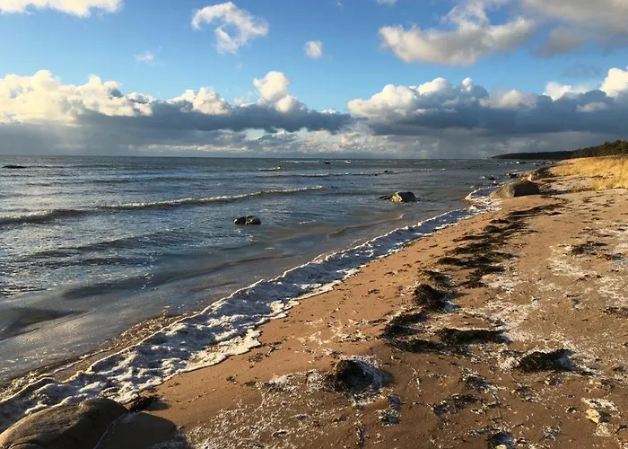 Villa Metsaraeaegu Wellness