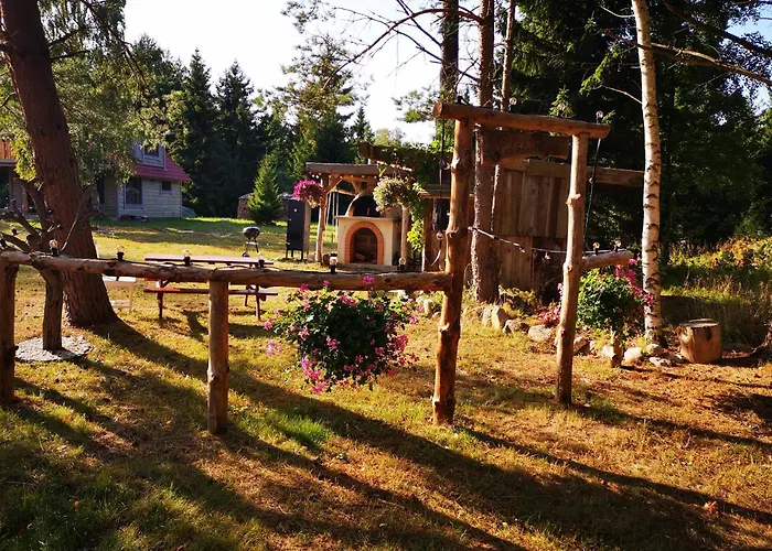 Metsaraeaegu Wellness