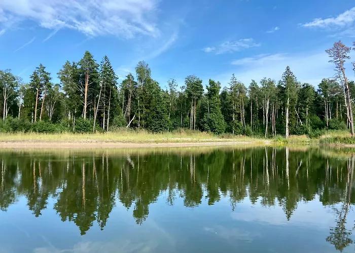 Metsaraeaegu Wellness Ulendi