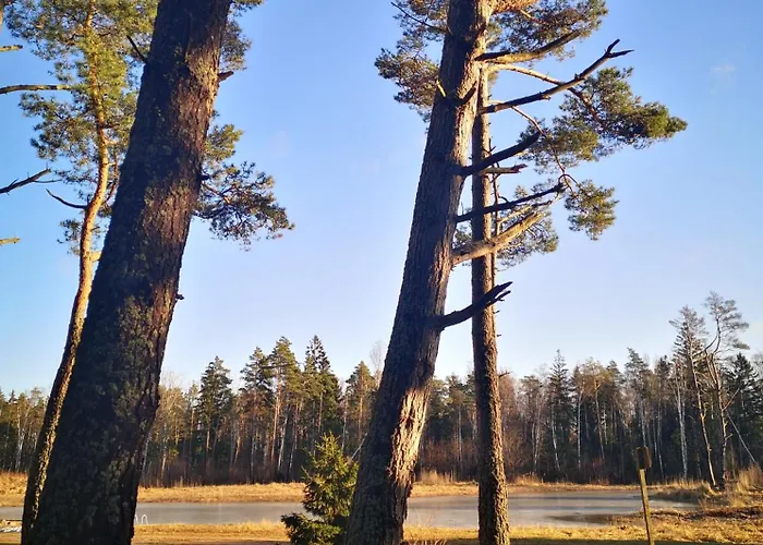 Metsaraeaegu Wellness Villa Ulendi
